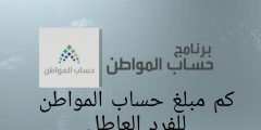 كم مبلغ حساب المواطن للفرد العاطل