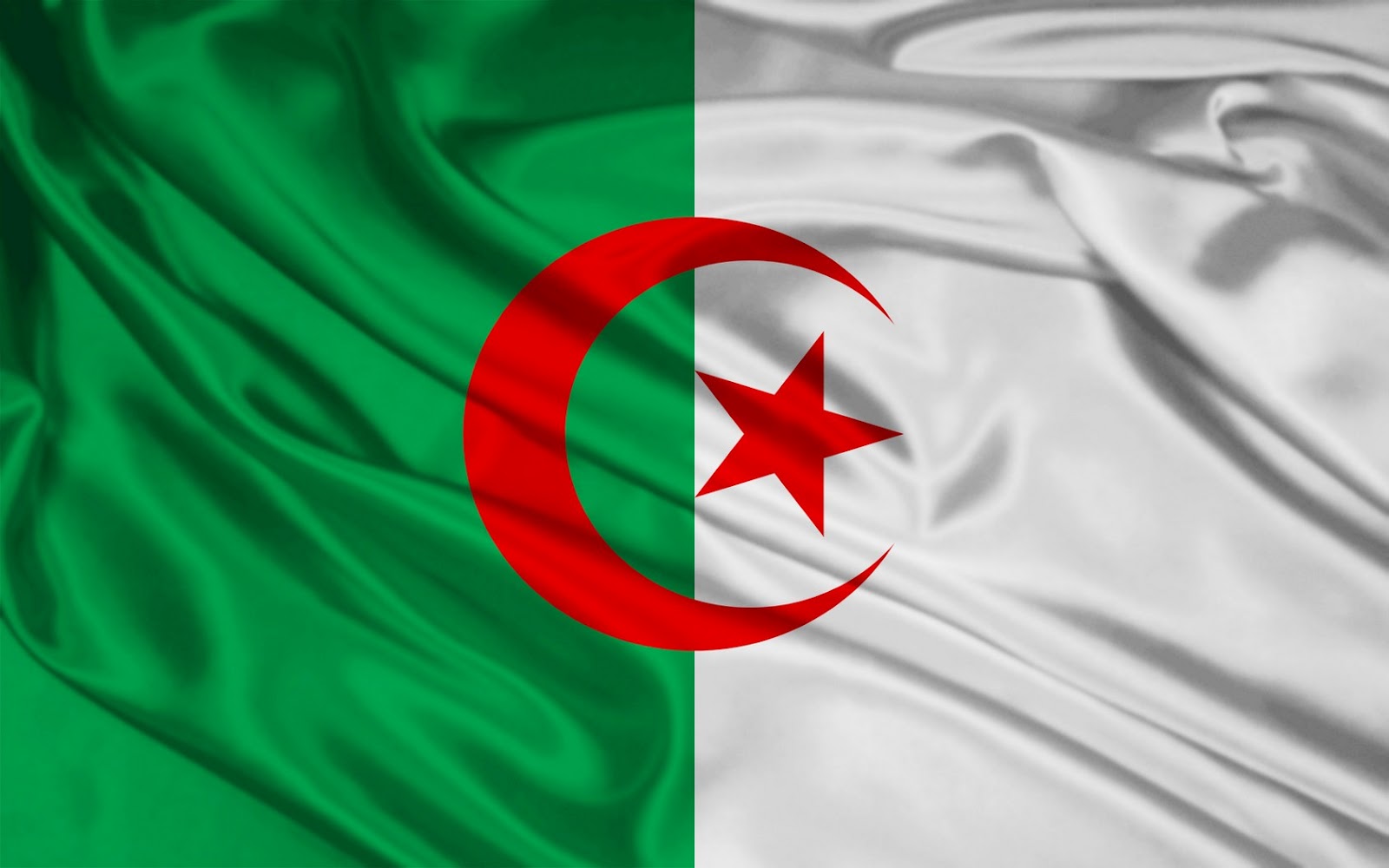 أحسن استثمار في الجزائر