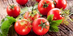 زراعة الطماطم بدون تربة بمجموعة من الخطوات البسيطة